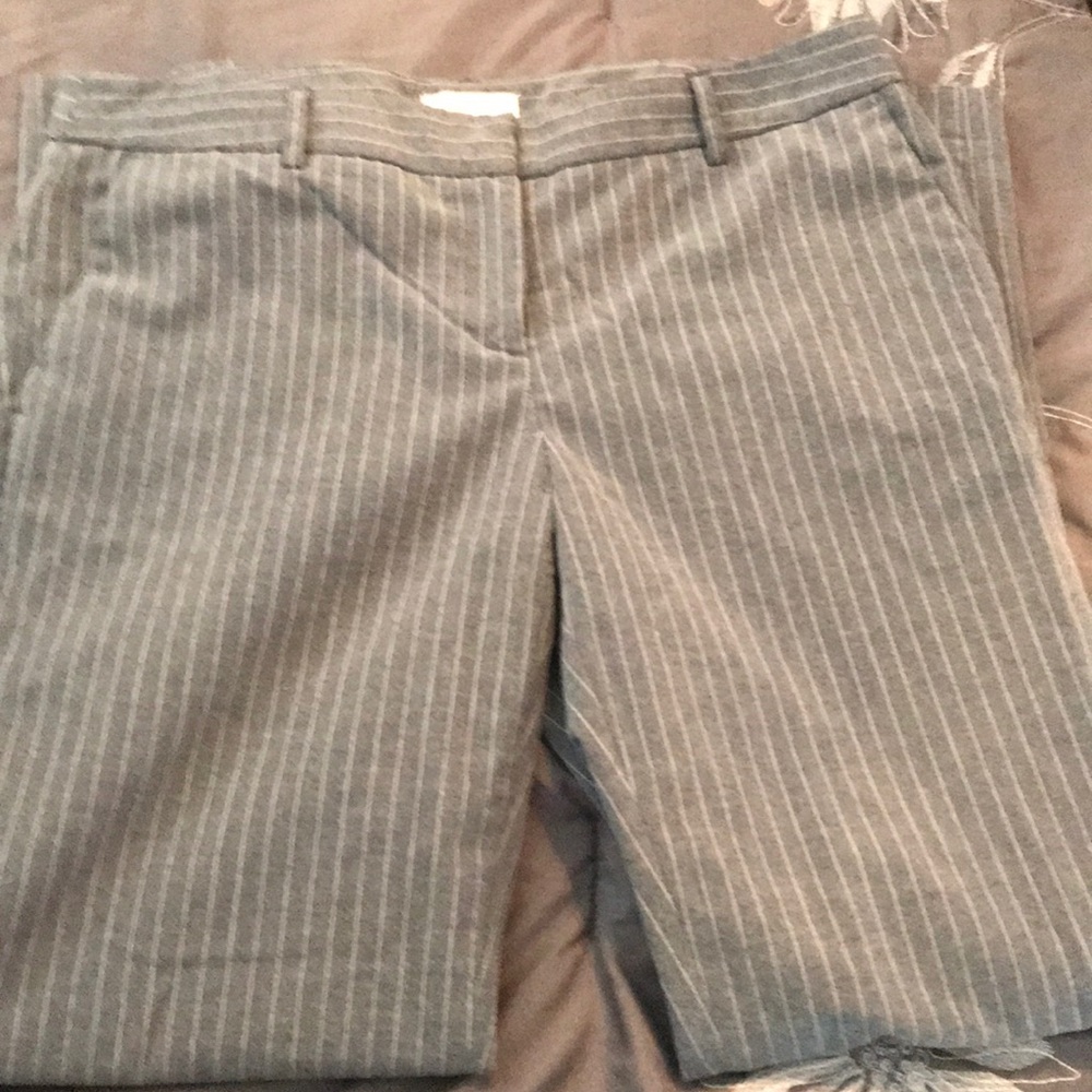 Dress pants